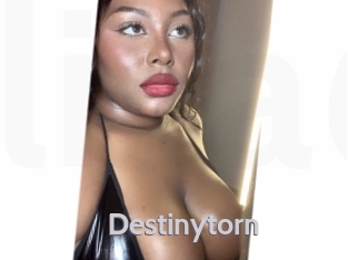 destinytorn Live Cam 66