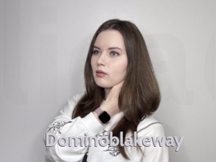 Dominoblakeway