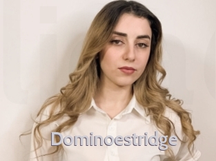dominoestridge Live Cam 66