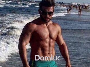 Domluc