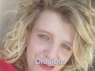 Dragibus
