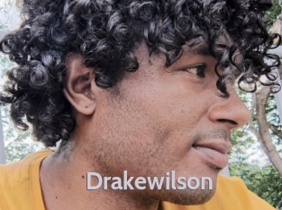 drakewilson Live Cam 66