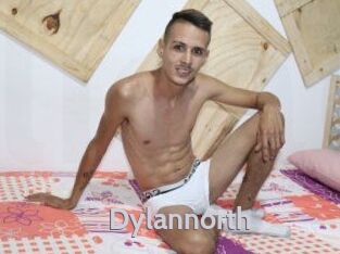 Dylan_north