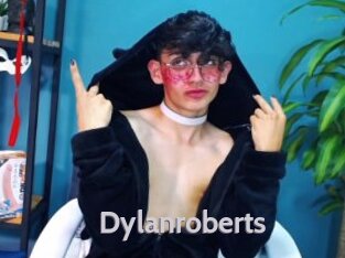 dylanroberts Live Cam 66