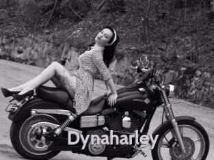 Dynaharley