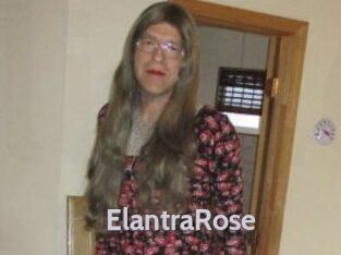 Elantra_Rose
