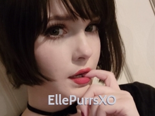 EllePurrsXO