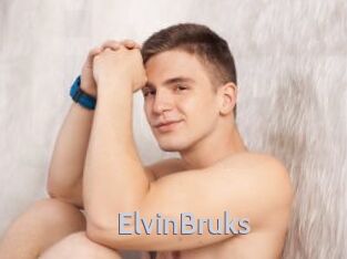 ElvinBruks