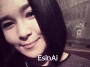 EsinAi