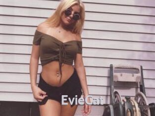 EvieCat