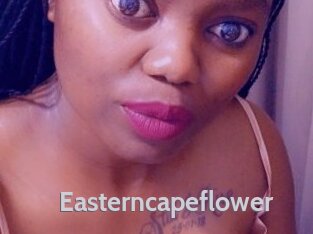Easterncapeflower