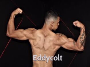 Eddycolt