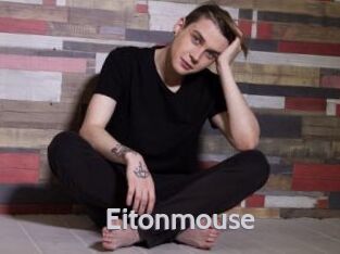 Eitonmouse