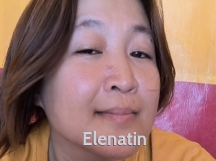 Elenatin