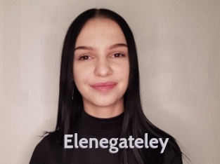 Elenegateley