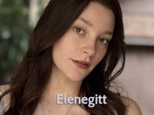 Elenegitt