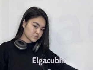 Elgacubitt