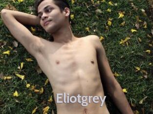 Eliotgrey