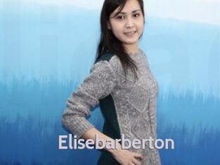 Elisebarberton