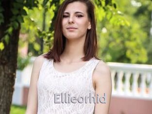 Ellieorhid
