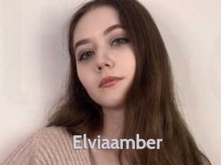 Elviaamber