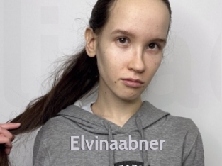 Elvinaabner