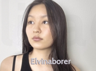 Elvinaborer