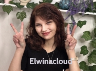 Elwinacloud