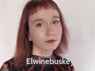 Elwinebuskey