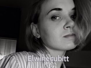 elwinecubitt Live Cam 66