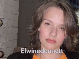 elwinedennett Live Cam 66