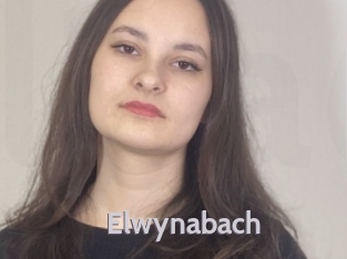 Elwynabach