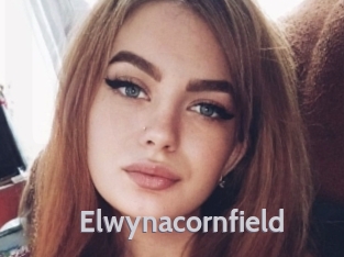 Elwynacornfield