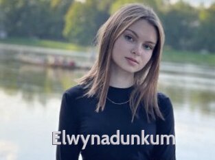 Elwynadunkum