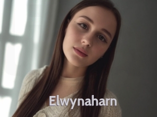 elwynaharn Live Cam 66
