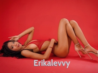 Erikalevvy