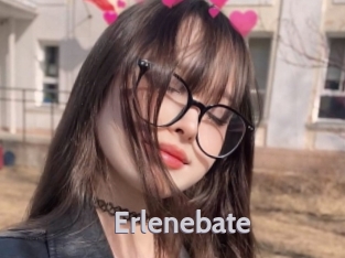 Erlenebate