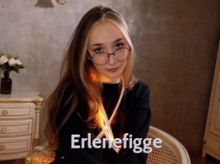 Erlenefigge