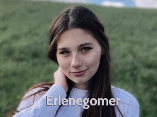 Erlenegomer