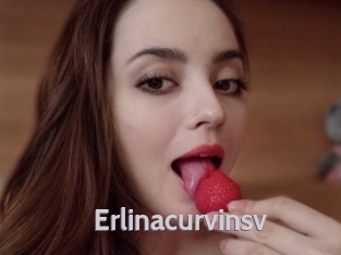 Erlinacurvinsv