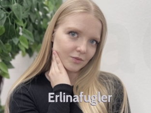 Erlinafugler