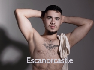 escanorcastle Live Cam 66
