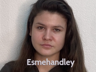 Esmehandley