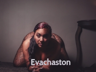 Evachaston