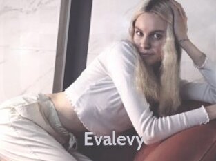 Evalevy