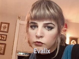 evalix Live Cam 66