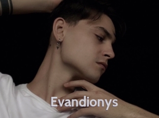 Evandionys