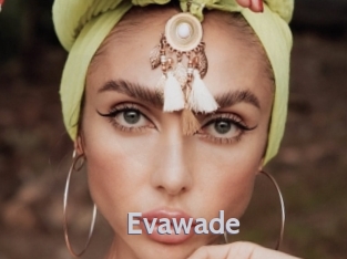 evawade Live Cam 66