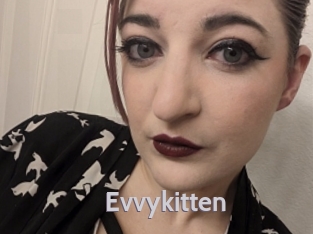 Evvykitten