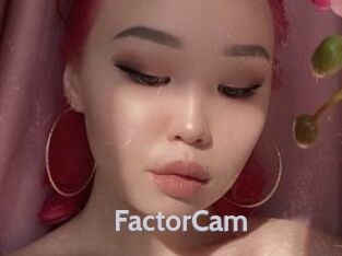 FactorCam